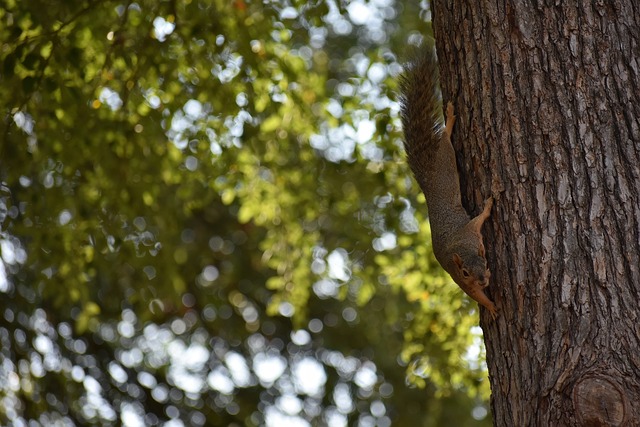 ″我们拥有自信与决心来应对这场比赛！″