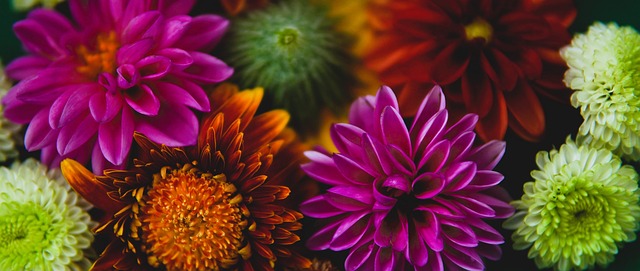 上港多名外援已提前离开俱乐部，无缘本轮踢柔佛，两人网传去申花