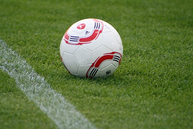 自我的精神 自我的精神